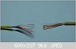     
: splet1.JPG
: 106
:	9.3 
ID:	39