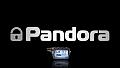   Pandora 