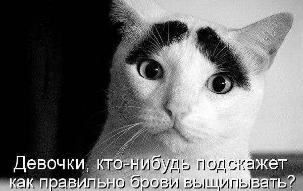  rkfdlbz